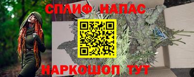 шишки Лесосибирск