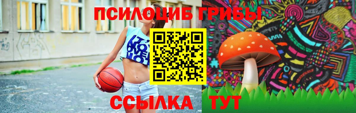 где купить наркоту  Псилоцибиновые грибы Cubensis  Вход с VPN  Елец 